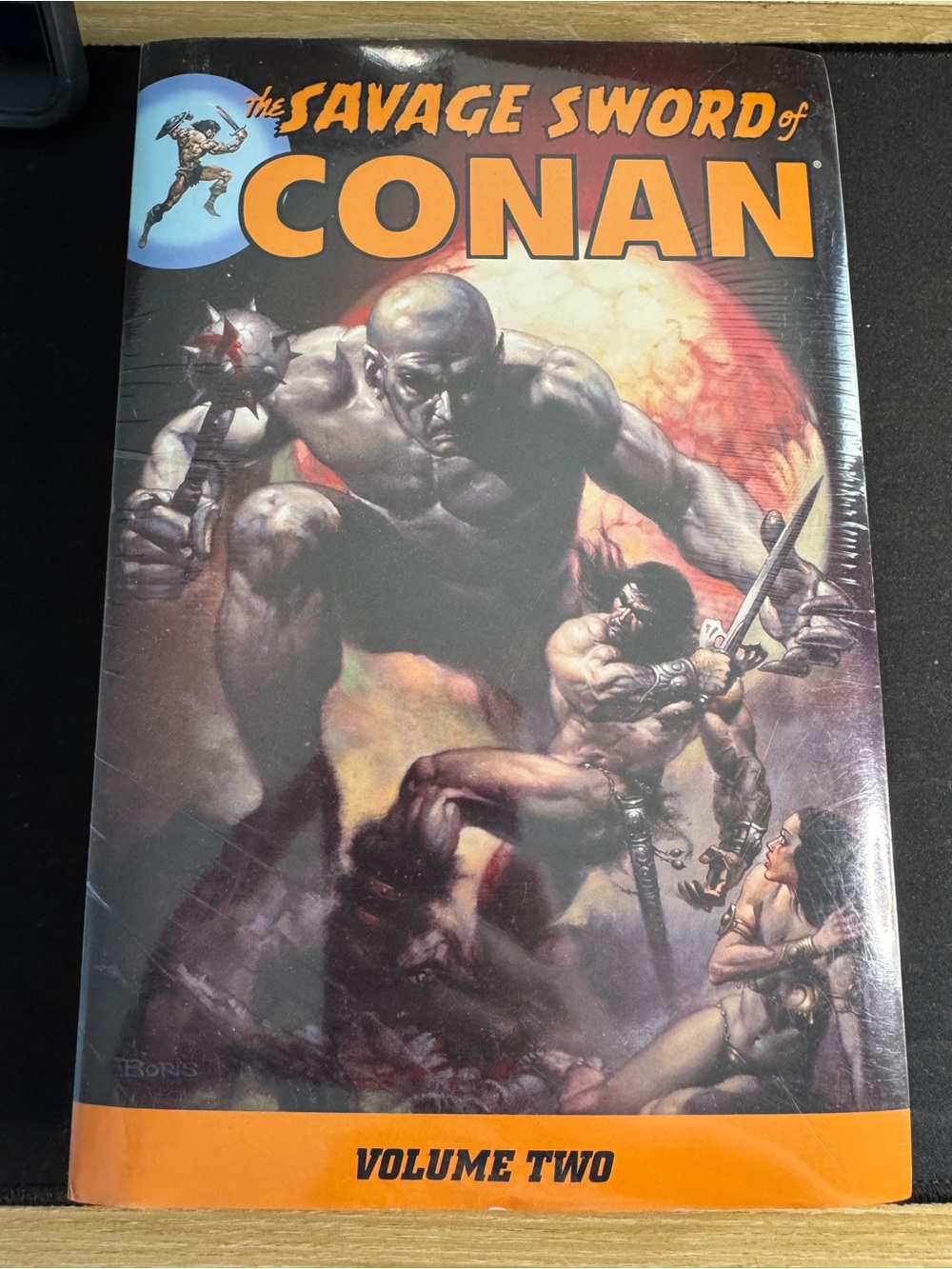 The Savage Sword of Conan Volume Two Dark Horse Graphic Novel
